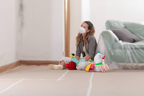 Reliable Basement Mold Remediation contractor in Freeport, IL by Mold Remediation HQ